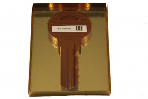 1183 L Chocolade sleutel melk met logo in luxe goud doos